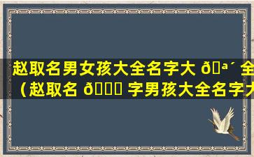 赵取名男女孩大全名字大 🪴 全（赵取名 🕊 字男孩大全名字大全）